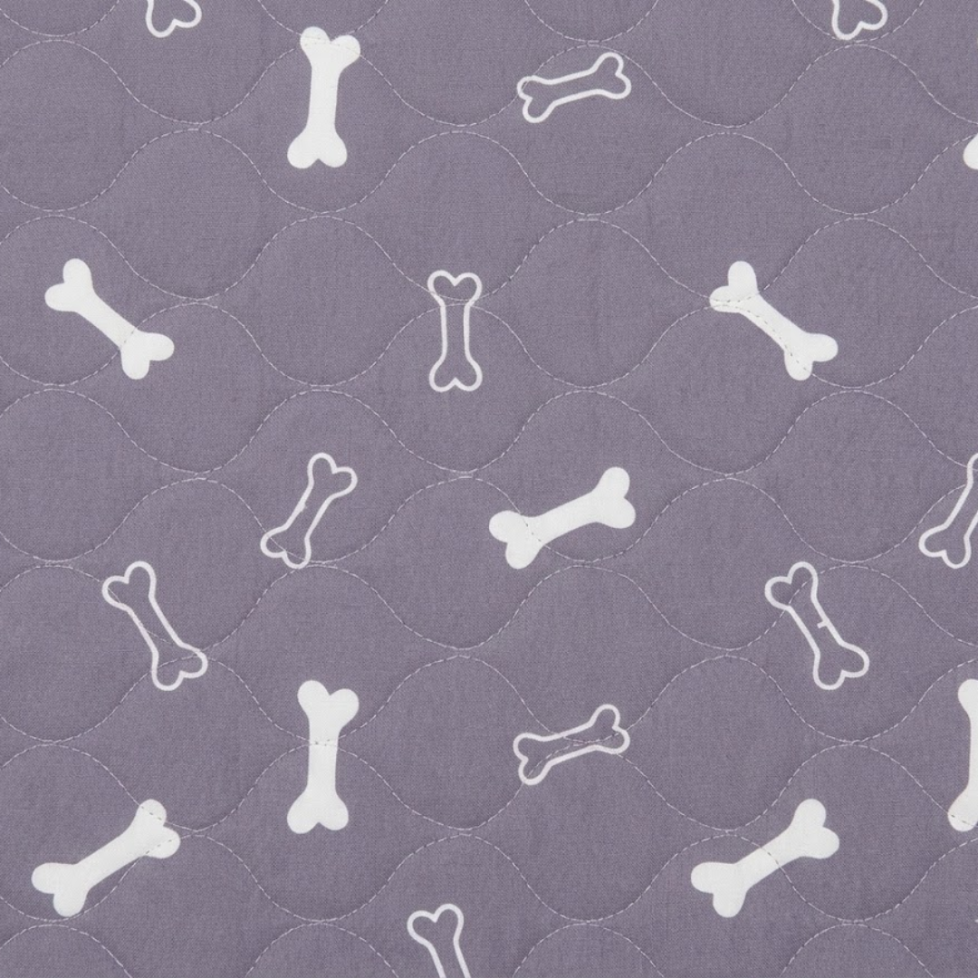 PetPlanet – El último empapador que necesitarás