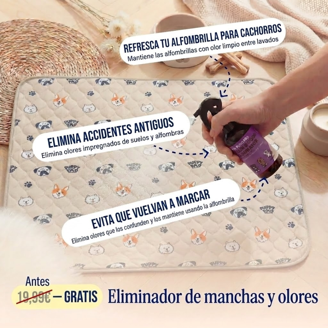 PetPlanet – El último empapador que necesitarás