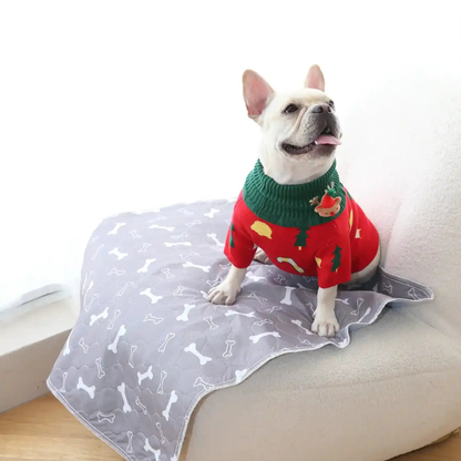 PetPlanet – El último empapador que necesitarás