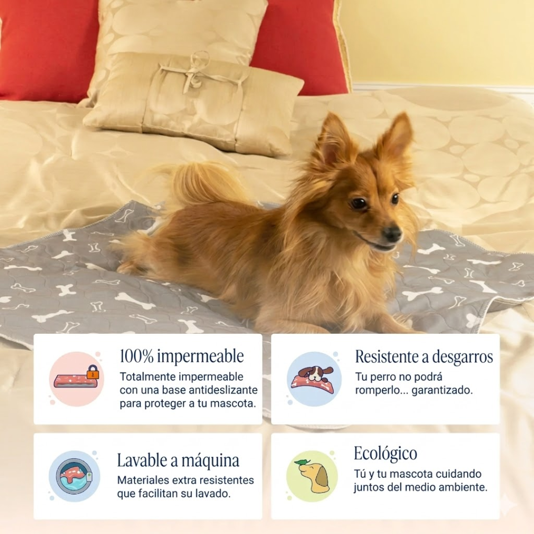 PetPlanet – El último empapador que necesitarás