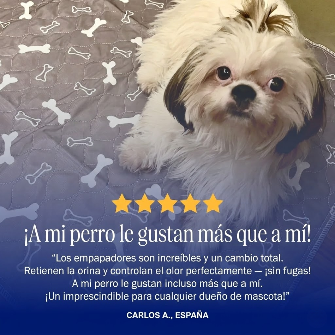 PetPlanet – El último empapador que necesitarás